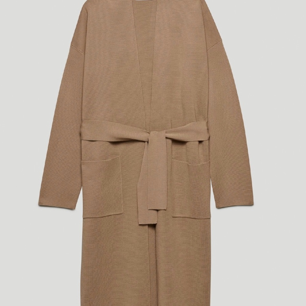 Wilfred Cozy Tan Long Sleeve Dress - Picture 4 of 14